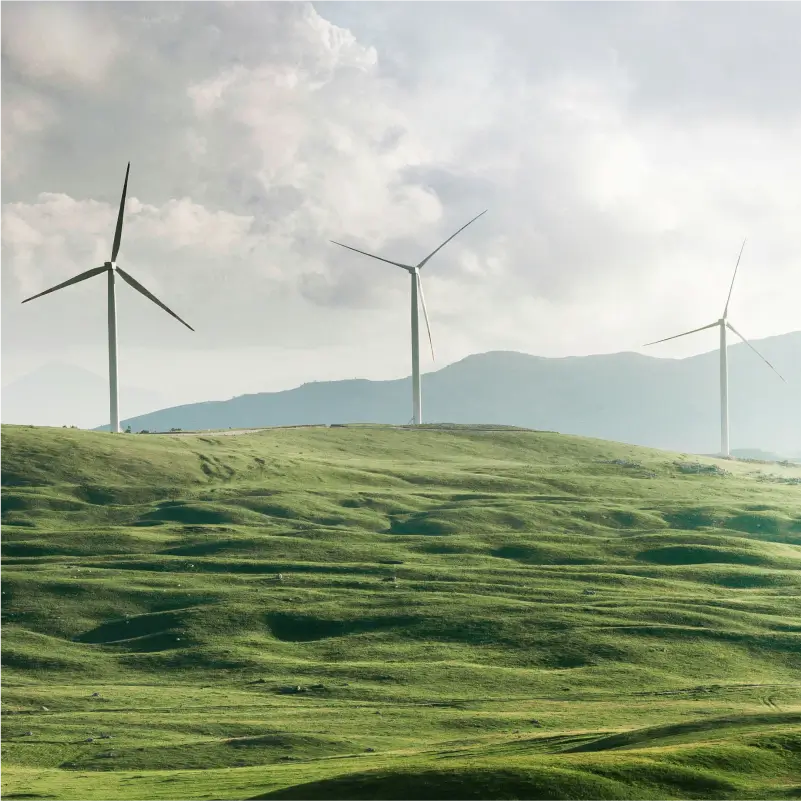 Wind turbines in a field